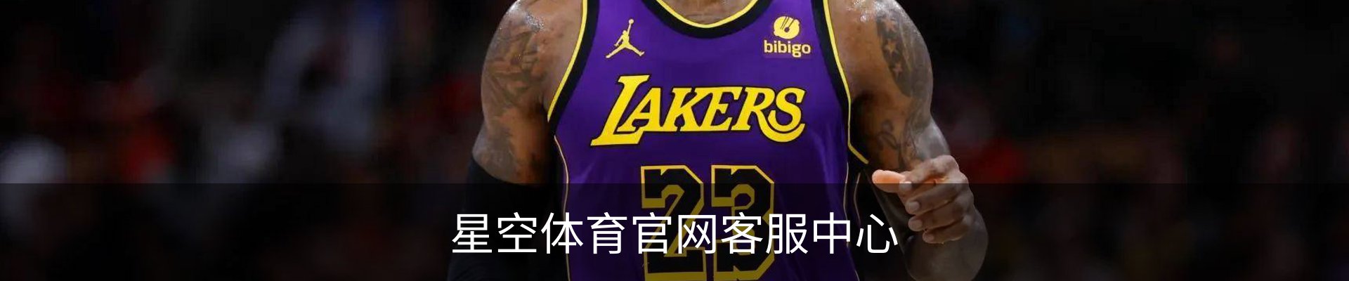 星空体育官网客服中心